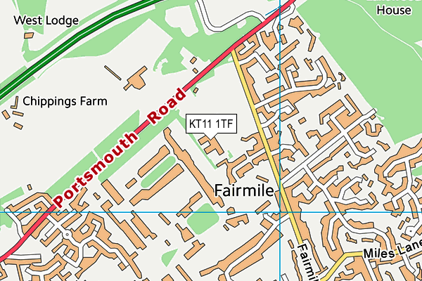 KT11 1TF map - OS VectorMap District (Ordnance Survey) KT11 1TF map - OS VectorMap District (Ordnance Survey)