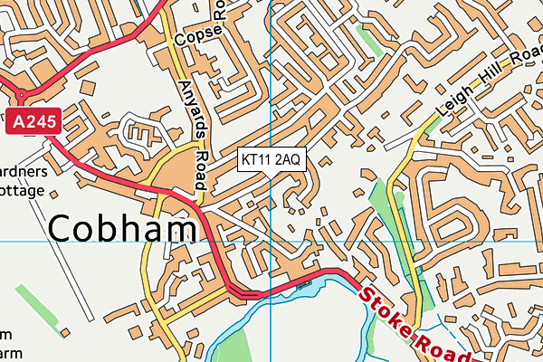 KT11 2AQ map - OS VectorMap District (Ordnance Survey)