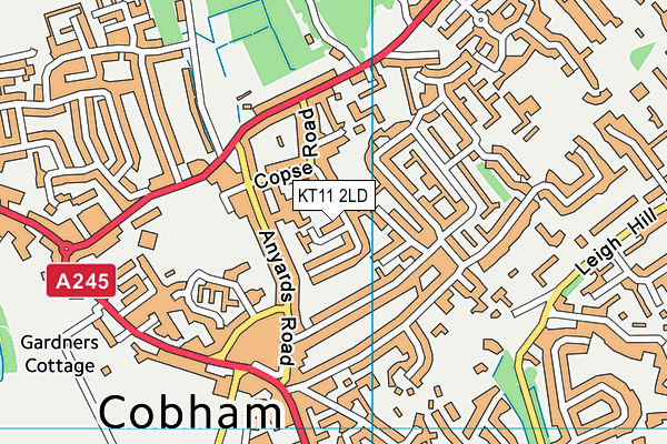 KT11 2LD map - OS VectorMap District (Ordnance Survey) KT11 2LD map - OS VectorMap District (Ordnance Survey)