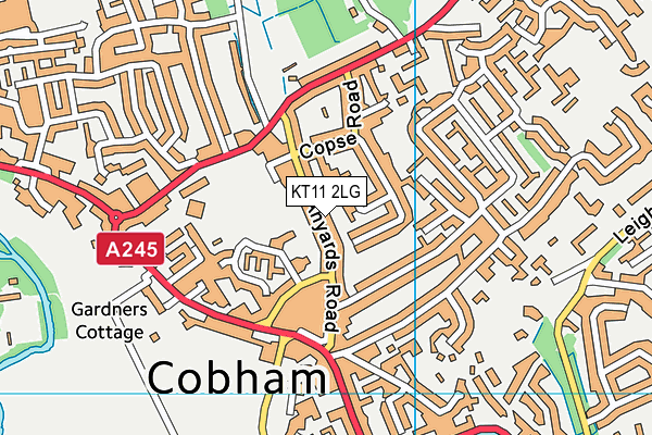KT11 2LG map - OS VectorMap District (Ordnance Survey) KT11 2LG map - OS VectorMap District (Ordnance Survey)