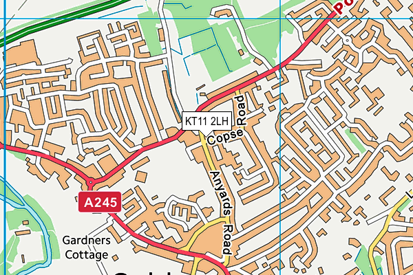 KT11 2LH map - OS VectorMap District (Ordnance Survey) KT11 2LH map - OS VectorMap District (Ordnance Survey)