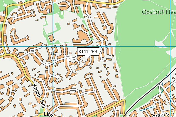 KT11 2PS map - OS VectorMap District (Ordnance Survey) KT11 2PS map - OS VectorMap District (Ordnance Survey)