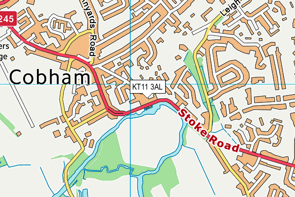 KT11 3AL map - OS VectorMap District (Ordnance Survey) KT11 3AL map - OS VectorMap District (Ordnance Survey)
