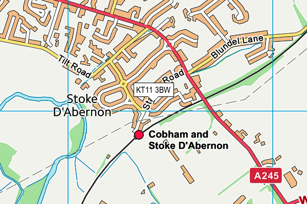 KT11 3BW map - OS VectorMap District (Ordnance Survey) KT11 3BW map - OS VectorMap District (Ordnance Survey)