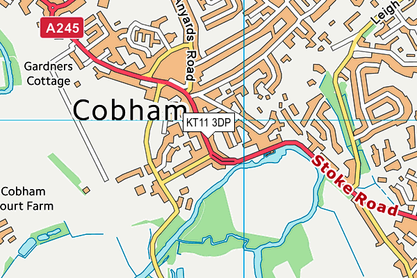 KT11 3DP map - OS VectorMap District (Ordnance Survey) KT11 3DP map - OS VectorMap District (Ordnance Survey)