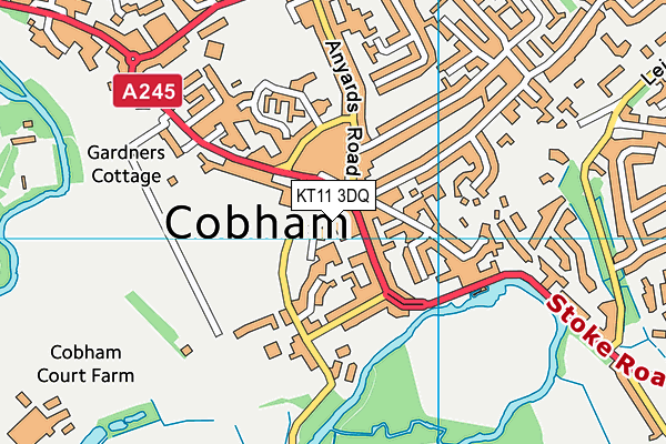 KT11 3DQ map - OS VectorMap District (Ordnance Survey) KT11 3DQ map - OS VectorMap District (Ordnance Survey)