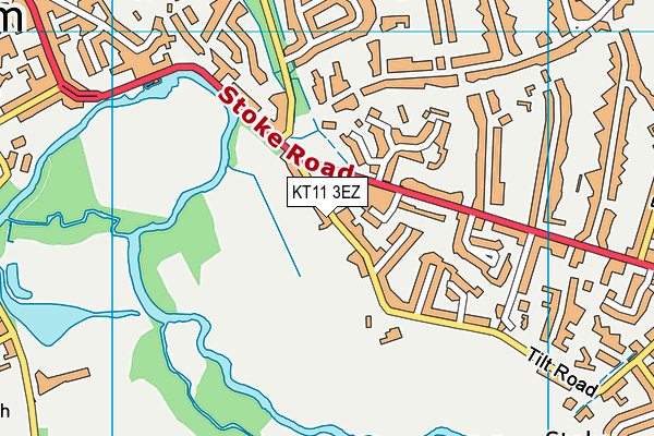 KT11 3EZ map - OS VectorMap District (Ordnance Survey)