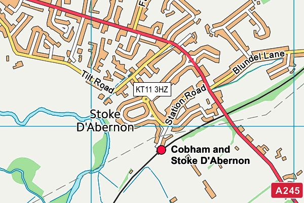 KT11 3HZ map - OS VectorMap District (Ordnance Survey)
