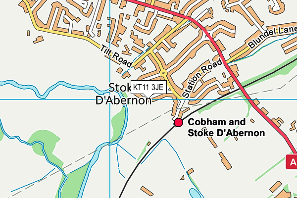 KT11 3JE map - OS VectorMap District (Ordnance Survey)