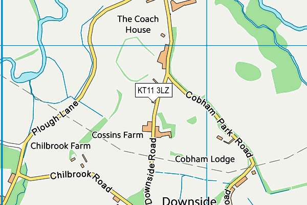 KT11 3LZ map - OS VectorMap District (Ordnance Survey)