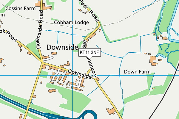 KT11 3NF map - OS VectorMap District (Ordnance Survey) KT11 3NF map - OS VectorMap District (Ordnance Survey)