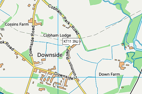 KT11 3NJ map - OS VectorMap District (Ordnance Survey) KT11 3NJ map - OS VectorMap District (Ordnance Survey)