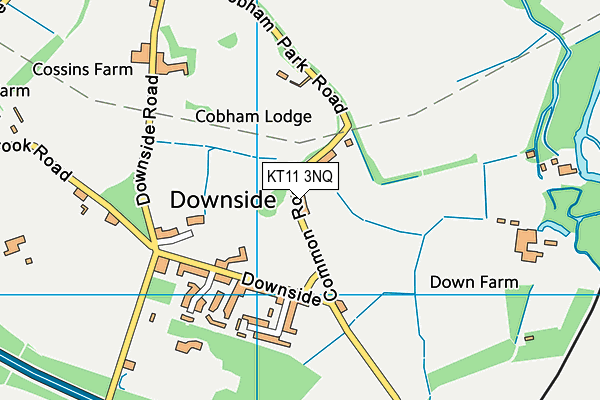 KT11 3NQ map - OS VectorMap District (Ordnance Survey) KT11 3NQ map - OS VectorMap District (Ordnance Survey)