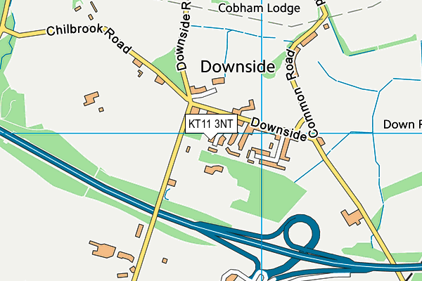 KT11 3NT map - OS VectorMap District (Ordnance Survey) KT11 3NT map - OS VectorMap District (Ordnance Survey)