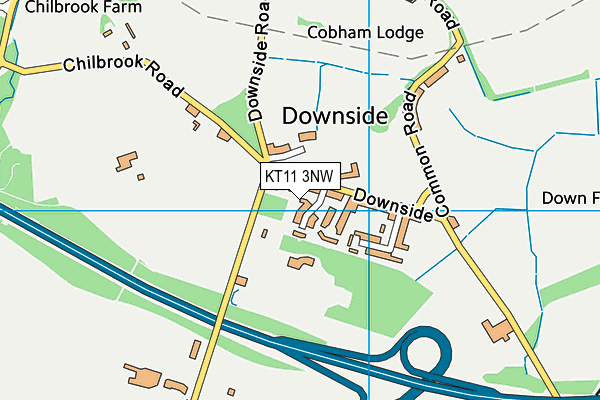 KT11 3NW map - OS VectorMap District (Ordnance Survey)