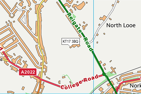 KT17 3BQ map - OS VectorMap District (Ordnance Survey) KT17 3BQ map - OS VectorMap District (Ordnance Survey)
