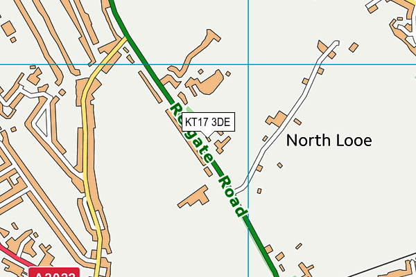 KT17 3DE map - OS VectorMap District (Ordnance Survey) KT17 3DE map - OS VectorMap District (Ordnance Survey)