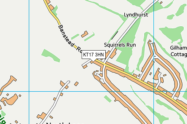 KT17 3HN map - OS VectorMap District (Ordnance Survey) KT17 3HN map - OS VectorMap District (Ordnance Survey)