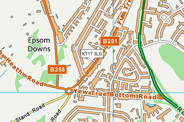 KT17 3LG map - OS VectorMap District (Ordnance Survey) KT17 3LG map - OS VectorMap District (Ordnance Survey)