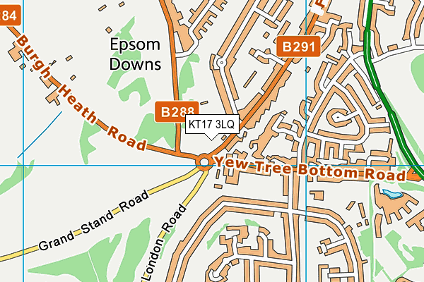 KT17 3LQ map - OS VectorMap District (Ordnance Survey) KT17 3LQ map - OS VectorMap District (Ordnance Survey)