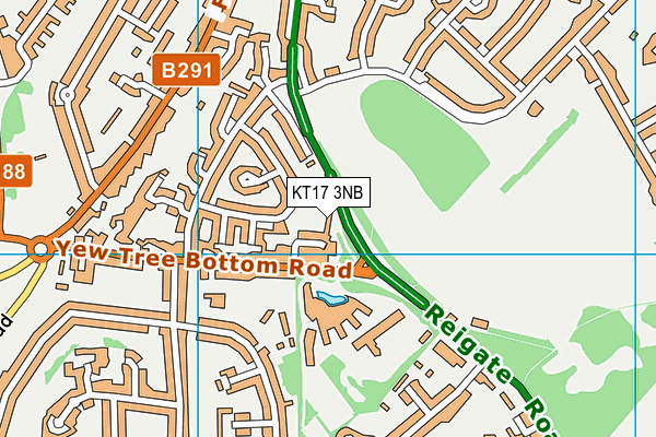 KT17 3NB map - OS VectorMap District (Ordnance Survey) KT17 3NB map - OS VectorMap District (Ordnance Survey)