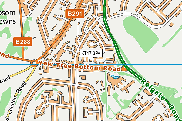 KT17 3PA map - OS VectorMap District (Ordnance Survey) KT17 3PA map - OS VectorMap District (Ordnance Survey)