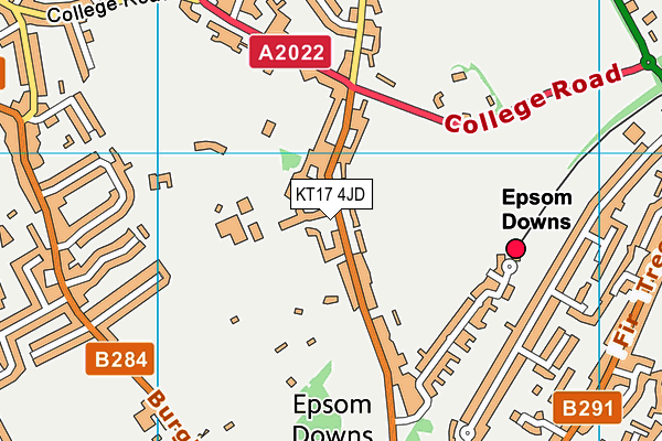 KT17 4JD map - OS VectorMap District (Ordnance Survey) KT17 4JD map - OS VectorMap District (Ordnance Survey)