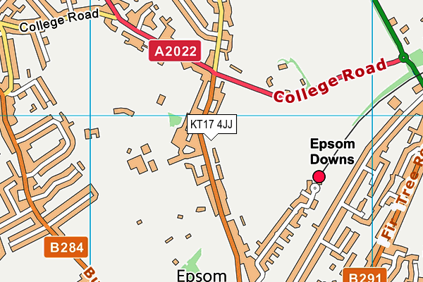 KT17 4JJ map - OS VectorMap District (Ordnance Survey) KT17 4JJ map - OS VectorMap District (Ordnance Survey)
