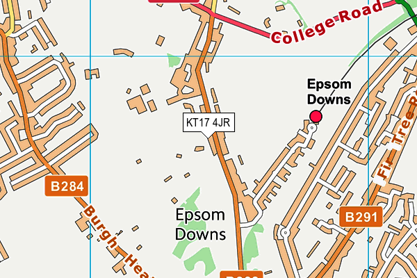 KT17 4JR map - OS VectorMap District (Ordnance Survey) KT17 4JR map - OS VectorMap District (Ordnance Survey)