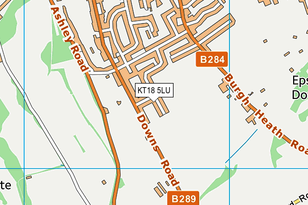 KT18 5LU map - OS VectorMap District (Ordnance Survey) KT18 5LU map - OS VectorMap District (Ordnance Survey)
