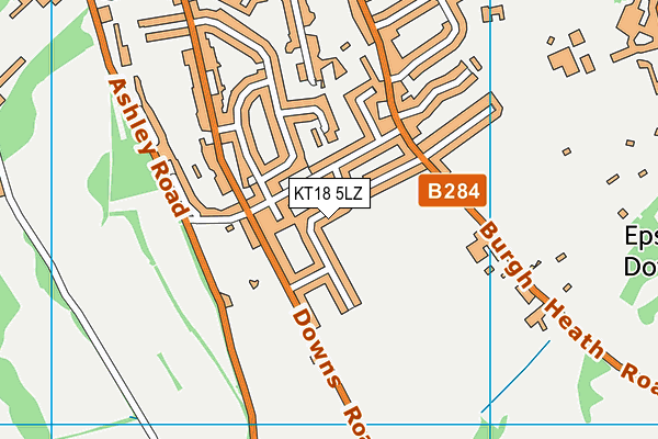 KT18 5LZ map - OS VectorMap District (Ordnance Survey) KT18 5LZ map - OS VectorMap District (Ordnance Survey)