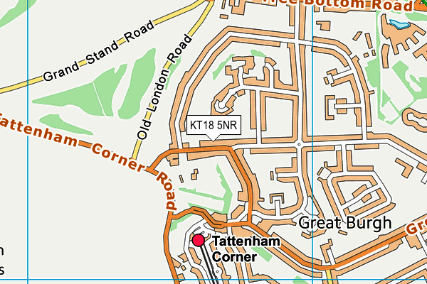 KT18 5NR map - OS VectorMap District (Ordnance Survey)