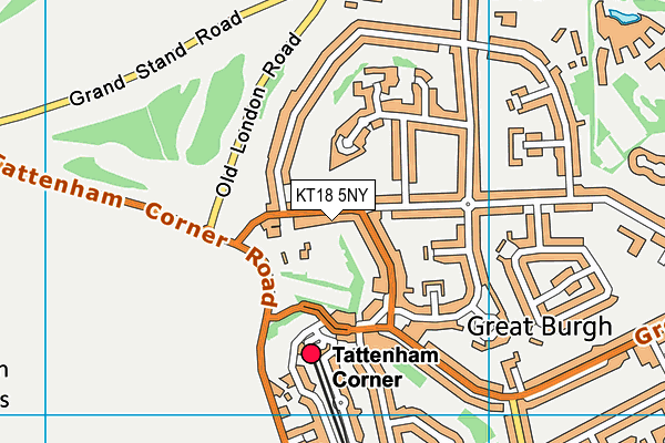 KT18 5NY map - OS VectorMap District (Ordnance Survey) KT18 5NY map - OS VectorMap District (Ordnance Survey)