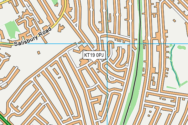 KT19 0PJ map - OS VectorMap District (Ordnance Survey) KT19 0PJ map - OS VectorMap District (Ordnance Survey)