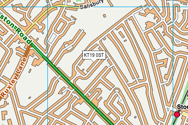 KT19 0ST map - OS VectorMap District (Ordnance Survey) KT19 0ST map - OS VectorMap District (Ordnance Survey)