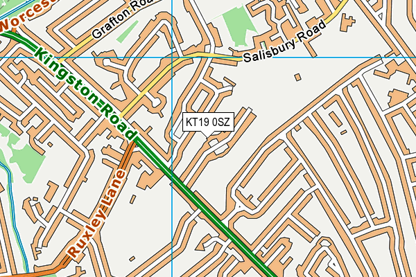 KT19 0SZ map - OS VectorMap District (Ordnance Survey) KT19 0SZ map - OS VectorMap District (Ordnance Survey)