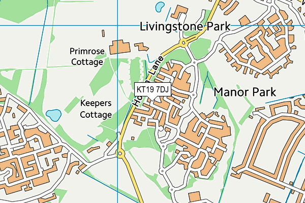 KT19 7DJ map - OS VectorMap District (Ordnance Survey) KT19 7DJ map - OS VectorMap District (Ordnance Survey)
