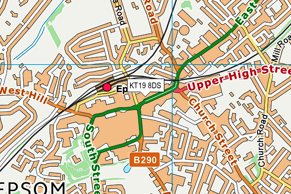 KT19 8DS map - OS VectorMap District (Ordnance Survey) KT19 8DS map - OS VectorMap District (Ordnance Survey)
