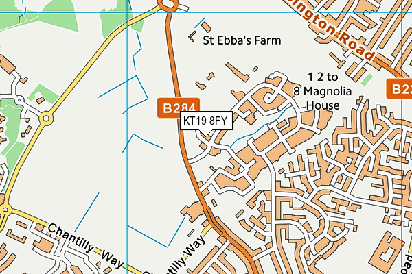 KT19 8FY map - OS VectorMap District (Ordnance Survey) KT19 8FY map - OS VectorMap District (Ordnance Survey)
