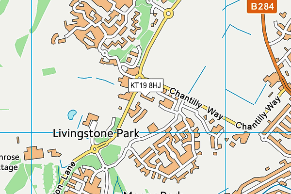 KT19 8HJ map - OS VectorMap District (Ordnance Survey) KT19 8HJ map - OS VectorMap District (Ordnance Survey)