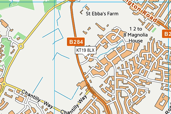 KT19 8LX map - OS VectorMap District (Ordnance Survey) KT19 8LX map - OS VectorMap District (Ordnance Survey)