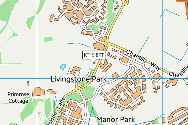 KT19 8PT map - OS VectorMap District (Ordnance Survey) KT19 8PT map - OS VectorMap District (Ordnance Survey)