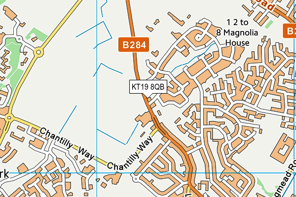 KT19 8QB map - OS VectorMap District (Ordnance Survey) KT19 8QB map - OS VectorMap District (Ordnance Survey)