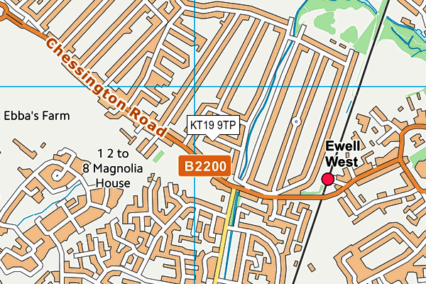 KT19 9TP map - OS VectorMap District (Ordnance Survey)