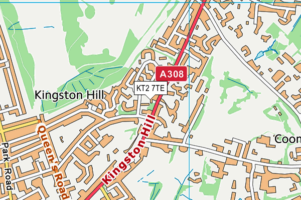 KT2 7TE map - OS VectorMap District (Ordnance Survey) KT2 7TE map - OS VectorMap District (Ordnance Survey)