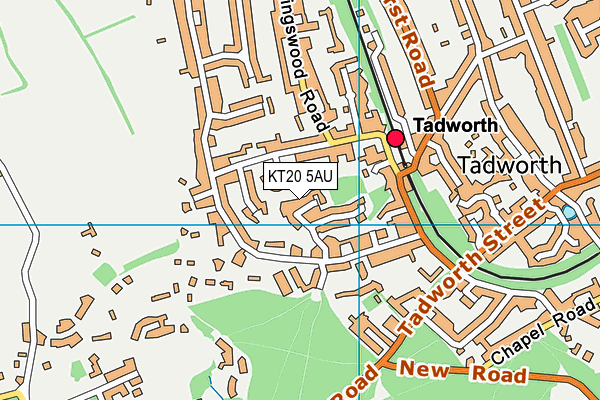KT20 5AU map - OS VectorMap District (Ordnance Survey)
