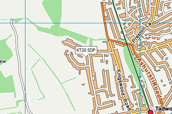 KT20 5DP map - OS VectorMap District (Ordnance Survey) KT20 5DP map - OS VectorMap District (Ordnance Survey)