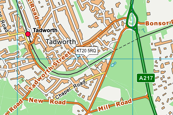 KT20 5RQ map - OS VectorMap District (Ordnance Survey)