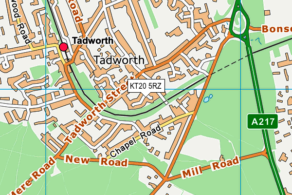KT20 5RZ map - OS VectorMap District (Ordnance Survey) KT20 5RZ map - OS VectorMap District (Ordnance Survey)