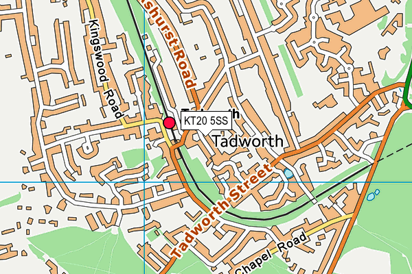KT20 5SS map - OS VectorMap District (Ordnance Survey)